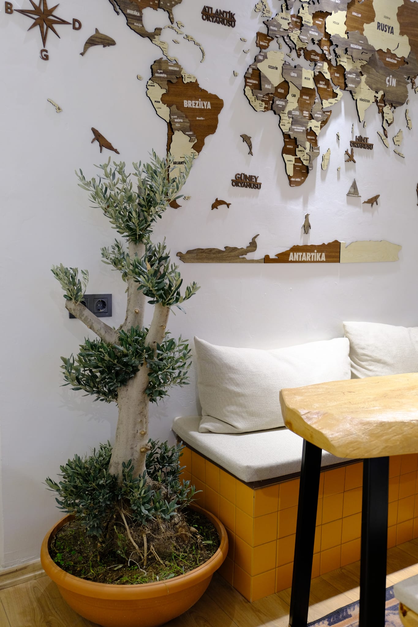 Mugla Speciality Coffee and Cafe