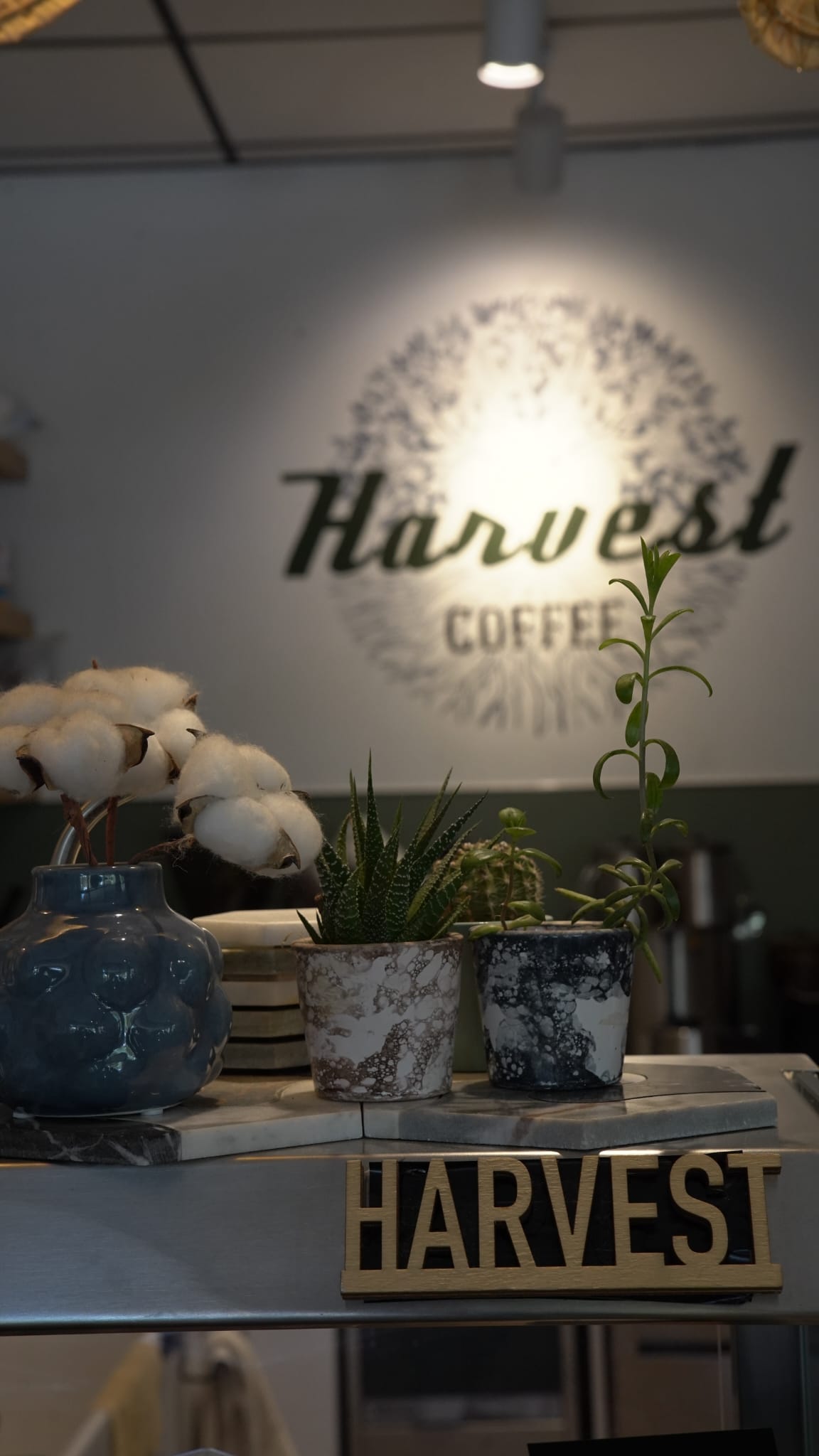 Harvest Coffee atmosphere